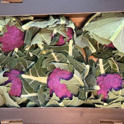 Cauliflower Purple Large
