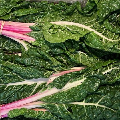 Chard Rainbow Bunched